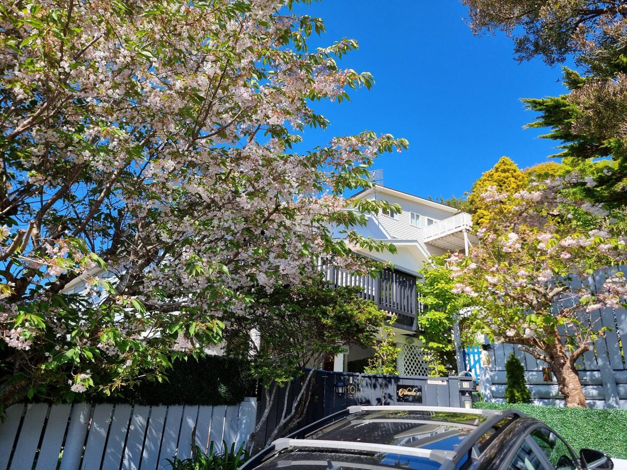 Entire Ground Floor With Full-Privacy And Family-Friendly Popular To Ferry Catchers Ουέλλινγκτον Εξωτερικό φωτογραφία